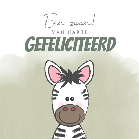 Felicitatie geboorte jongen - wit groen met lieve zebra