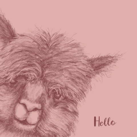 Felicitatie geboorte meisje met een tekening van een alpaca