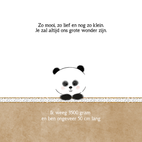Geboortekaart meisje met lief pandabeertje