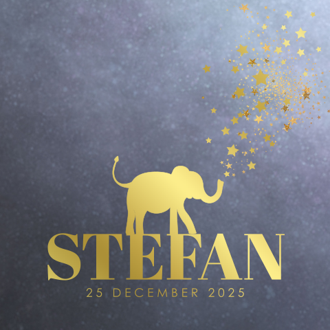 Geboortekaart sterrenhemel goudfolie olifantje Stefan
