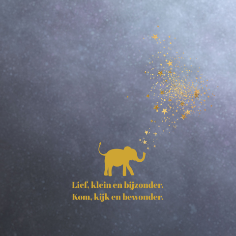 Geboortekaart sterrenhemel goudfolie olifantje Stefan
