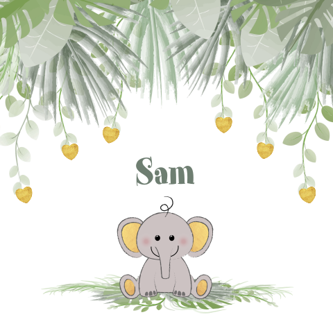Geboortekaartje botanica lief olifantje in de jungle Sam