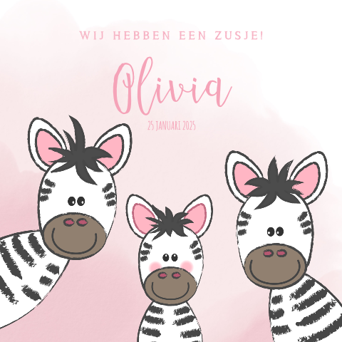 Geboortekaartje meisje zusje roze waterverf en schattige zebra's