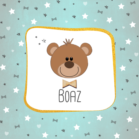 Schattig geboortekaartje met echt strikje jongen lief beertje Boaz
