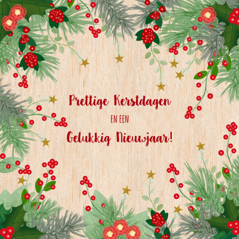 witte quiltstof met kersttakken en rode besjes