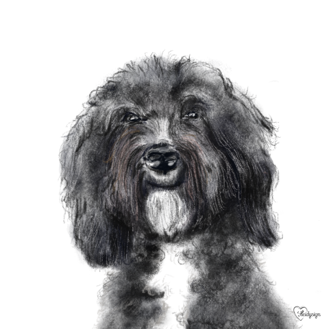 Kaart tekening van een lieve zwart-witte hond