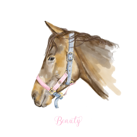 Poster met een tekening van een mooi lief paard Beauty