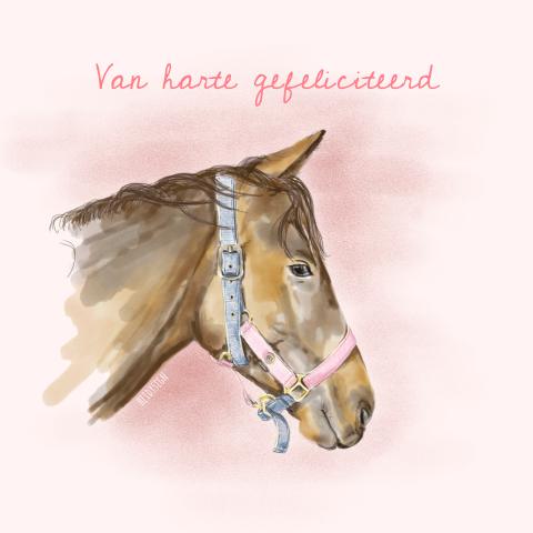 Verjaardagskaart met een tekening van een lief paard