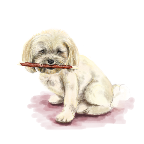 Wenskaart met een tekening van een lief hondje