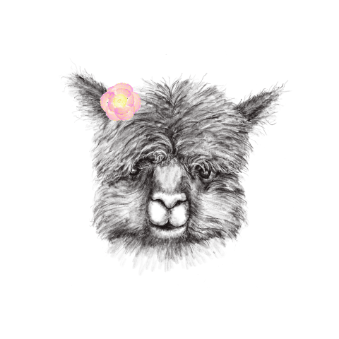 Wenskaart zomaar met dierentekening alpaca met bloem