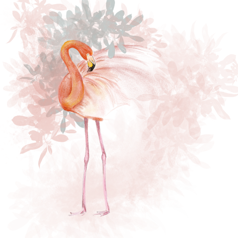 zomaar lief kaartje met een tekening van een flamingo